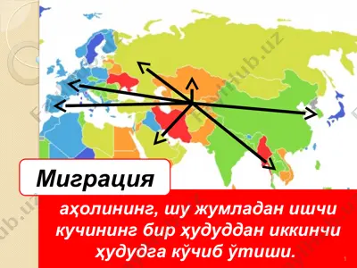 migratsiya — PPT