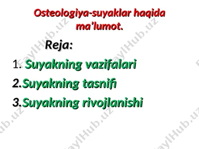 osteologiya-suyaklar haqida ma’lumot — PPT