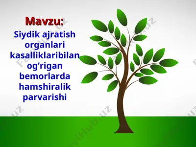 siydik ajratish organlari kasalliklaribilan og’rigan bemorlarda hamshiralik parvarishi — PPT