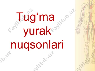 tug‘ma yurak nuqsonlari — PPT