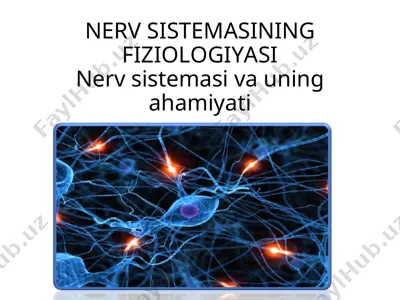 nerv sistemasining fiziologiyasi — PPT