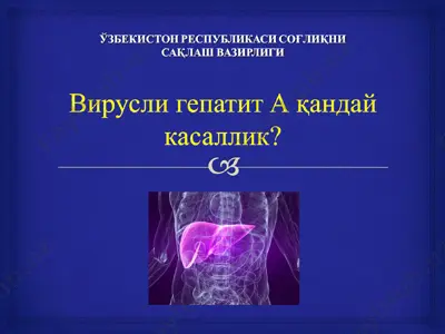 jig'ar va uning vazifasi — PPT