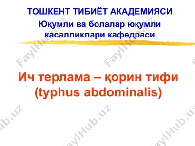 ич терлама – қорин тифи (typhus abdominalis) — PPT