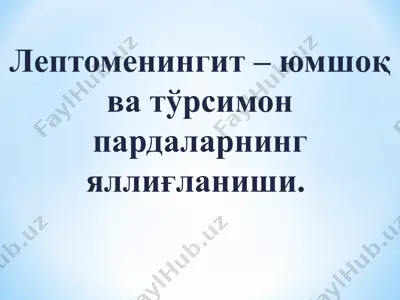 лептоменингит — PPT