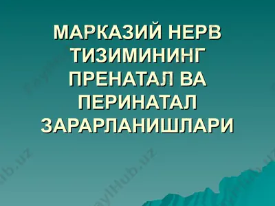 марказий нерв тизимининг пренатал ва перинатал зарарланишлари — PPT