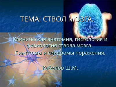 stvol mo'zga — PPT