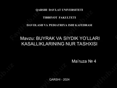 buyrak va siydik yo’llari kasalliklarining nur tashxisi — PPT