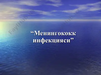 менингококк инфекцияси — PPT