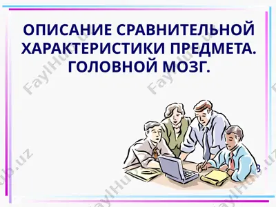 описание сравнительной характеристики предмета.головной мозг. — PPT