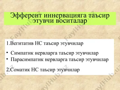 эфферент иннервацияга таъсирэтувчи воситалар — PPT
