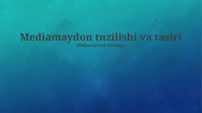 mediamaydon tuzilishi va tasiri — PPTX