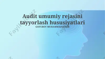audit umumiy rejasini tayyorlash hususiyatlari — PPTX