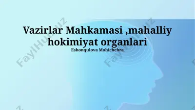 vazirlar mahkamasi va mahalliy hokimiyatlarning o'zaro hamkorligi — PPTX
