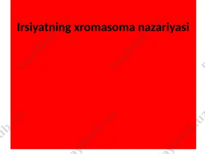 irsiyatning xromasoma nazariyasi — PPTX