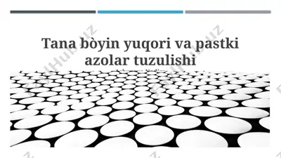 yuqori oyoq-qo'llar tuzilishi — PPTX