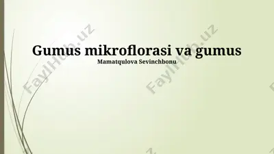 gumus mikroflorasi va gumus — PPTX