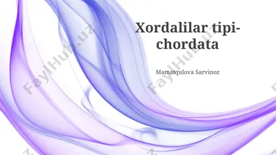xordalilar tipi-chordata — PPTX