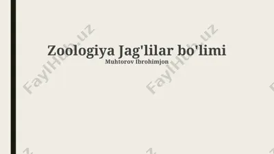 zoologiya jag'lilar bo'limi — PPTX
