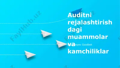 auditni rejalashtirishdagi muammolar va kamchiliklar — PPTX
