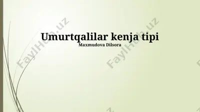 umurtqalilar kenja tipi — PPTX