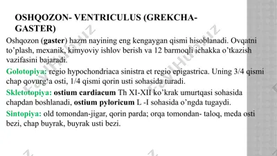 oshqozon (ventriculus) — PPTX
