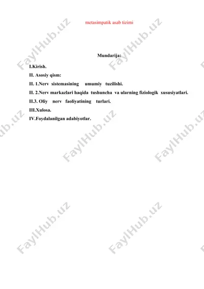 mitispatik asab tizimi — DOCX