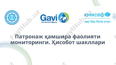 patrnoj xorijotlari faoliyati monitoringi. hisobot shakllari — PPTX