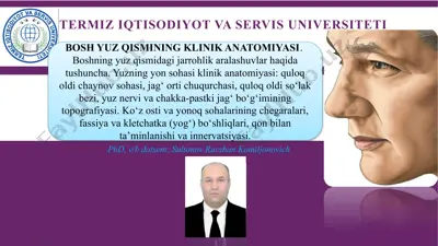 bosh yuz qismini klinik anatomiyasi — PPTX
