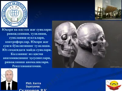 yuqori va pastki jаg suyaklari anatomiya va rivojlanishi — PPTX