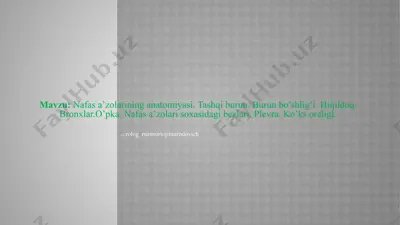 nafas a’zolarining anatomiyasi — PPTX