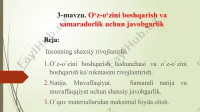 o‘z-o‘zini boshqarish va samaradorlik uchun javobgarlik — PPTX