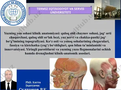 yuzning yon sohasi klinik anatomiyasi — PPTX