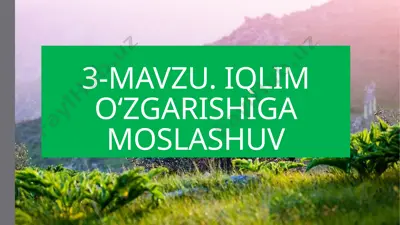 iqlim oʻzgarishiga moslashuv — PPTX