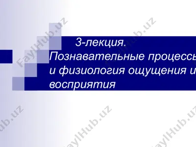 poznavatelnyye protsessy i fiziologiya oshchushcheniya i vospriyatiya — PPTX