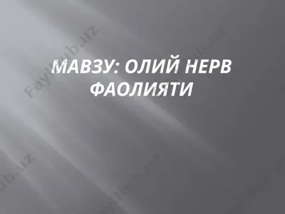 oliy nerv faoliyati — PPTX