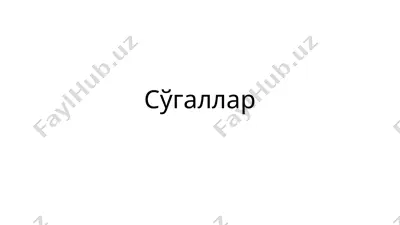 сўгаллар — PPTX
