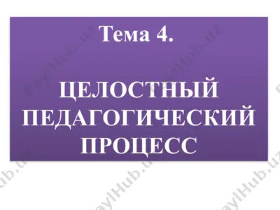 целостный педагогический процесс — PPTX