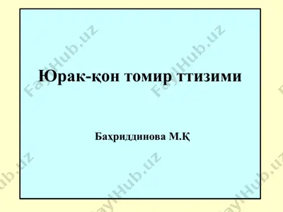 yurak-qon tomir tizimi — PPTX