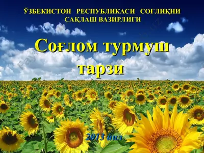 so'g'lik va turmush madaniyati — PPT