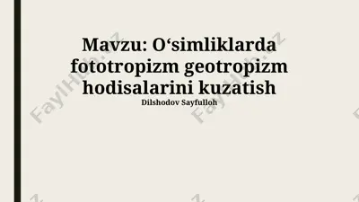 oʻsimliklarda fototropizm geotropizm hodisalarini kuzatish — PPTX