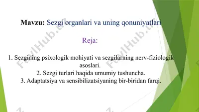 sezgi organlari va uning qonuniyatlari — PPTX