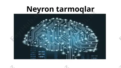 neyron tarmoqlar — PPTX