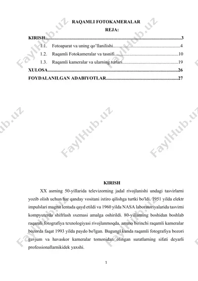 raqamli fotokameralar — DOCX