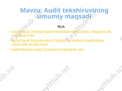 audit tekshiruvining umumiy maqsadi — PPTX