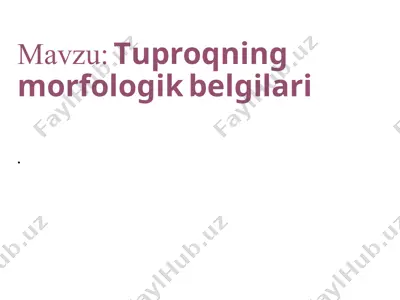 tuproqning morfologik belgilari — PPTX