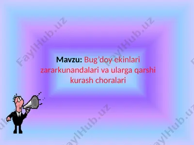 bug’doy ekinlari zararkunandalari va ularga qarshi kurash choralari — PPTX