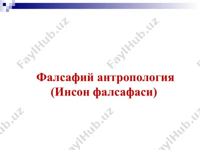 фалсафий антропология (инсон фалсафаси)  — PPTX