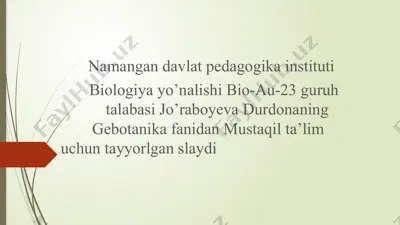namangan davlat pedagogika instituti — PPTX