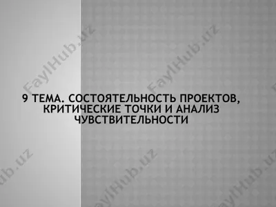 состоятельность проектов, критические точки и анализ чувствительности — PPTX