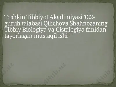 epiteliya to'qimalari — PPTX